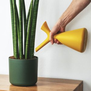 Single Prong Weeder